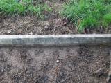 image of grave number 376059